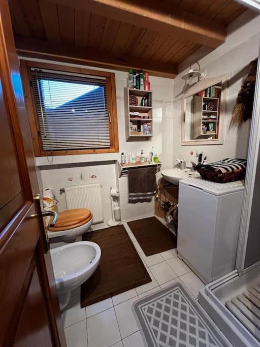 Apartamento "Fresia" Chalet Turistico A Fisto Spiazzo  Exterior foto